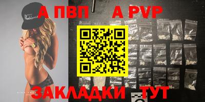 ECSTASY Гатчина