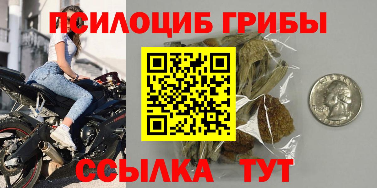 Псилоцибиновые грибы мицелий Красногорск